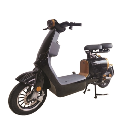XE ĐẠP ĐIỆN HISOKA M01 ĐEN