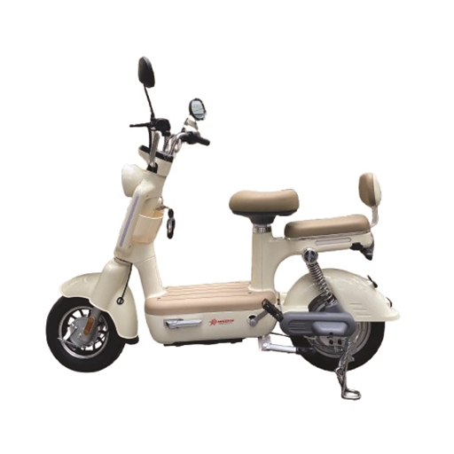 XE ĐẠP ĐIỆN HISOKA M02